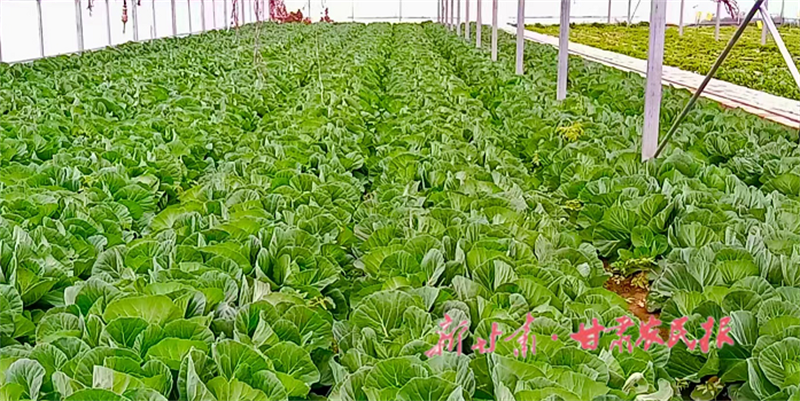 1667185987630829.png GetAttachment.do-5.png