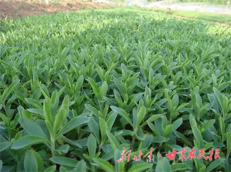 1667450006988453.jpeg GetAttachment.do-3.jpeg