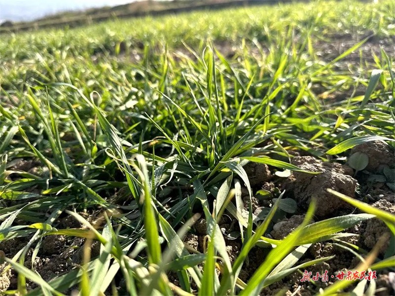 1701661655483241.jpg GetAttachment.jpg