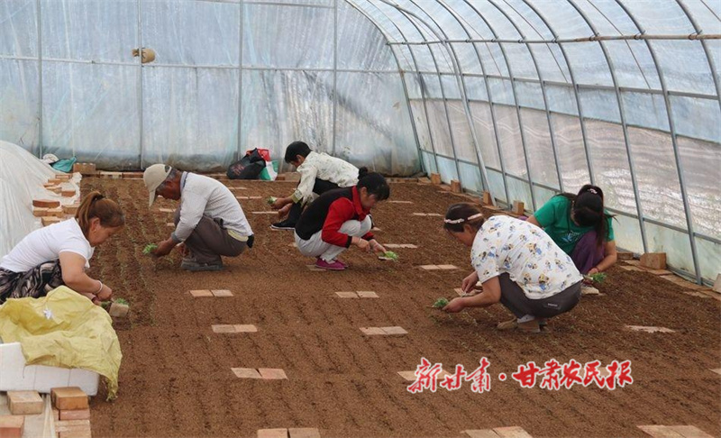 1751010484117703.jpg 1750935318895012518.jpg