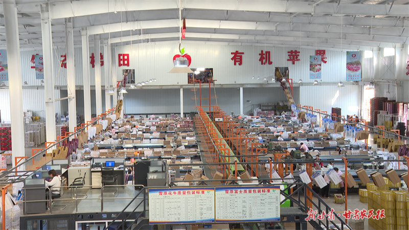 莊浪縣雪原農產品供應鏈有限公司蘋果分選車間