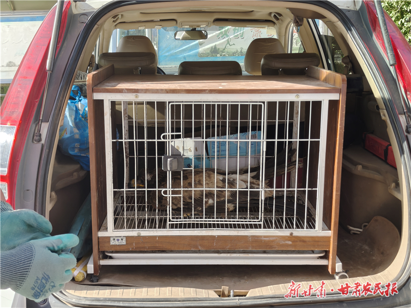 微信圖片_20250729101532