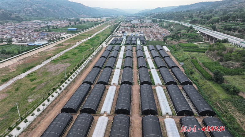 莊浪縣恒聚源農(nóng)業(yè)發(fā)展有限責(zé)任公司