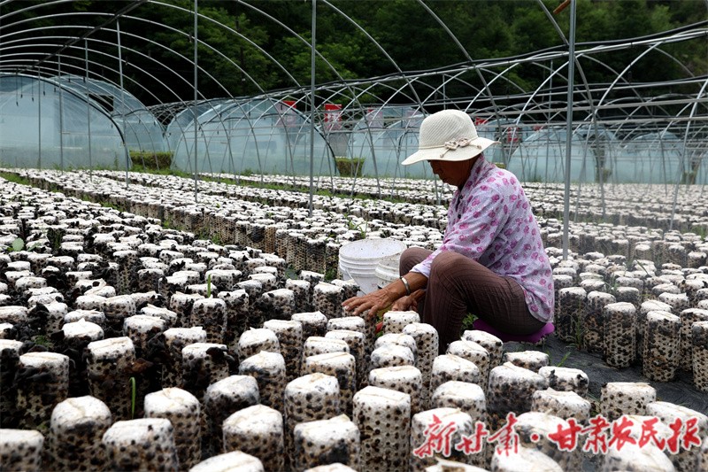 1754899511618951.jpg 1754710466943056077.jpg