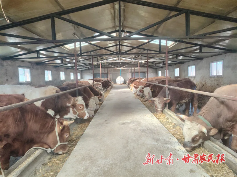 1759133673505385.png 圖片3.png