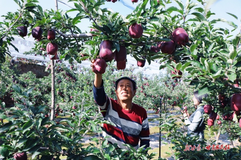 1760148836986828.jpg 微信圖片_20251010164150_113_176.jpg