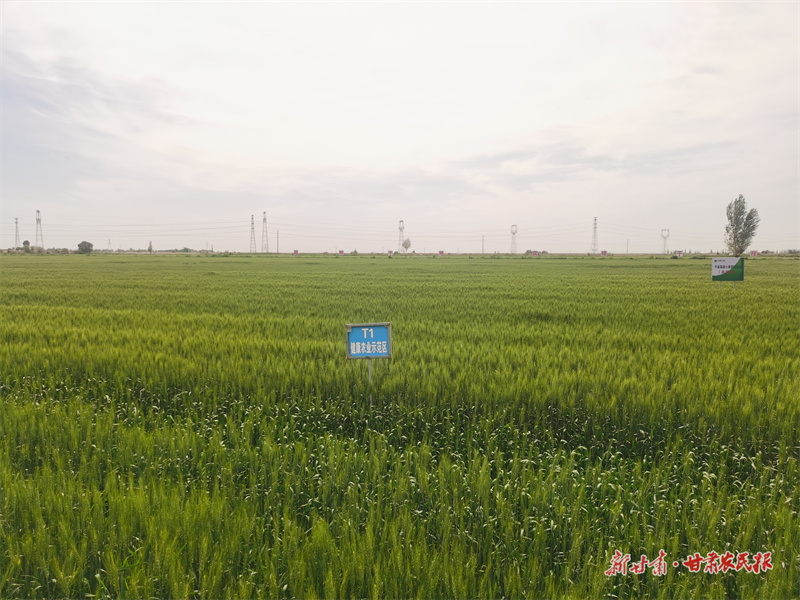 微信圖片_20250716184923