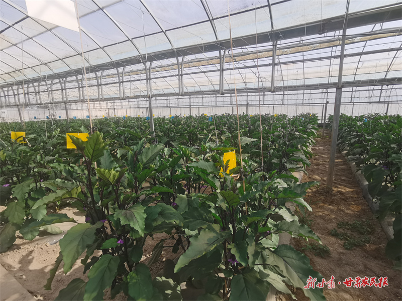 微信圖片_20250716185049