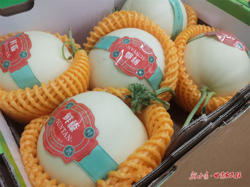 微信圖片_20250716190209