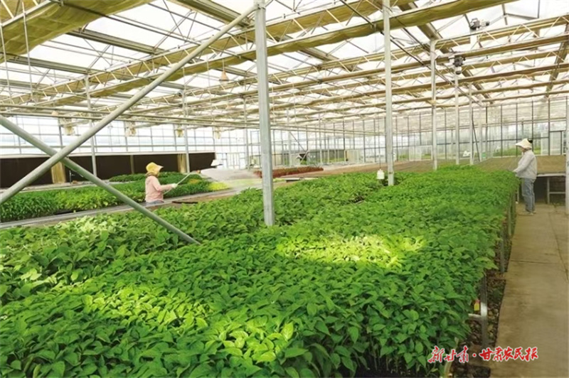 微信圖片_20250718103845