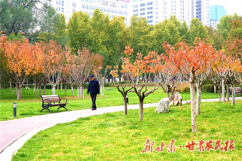 1762179675223233.jpg 1761813689372084733.jpg