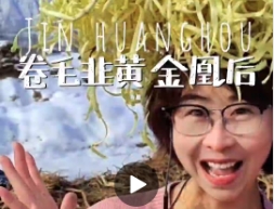 【短視頻】用電影鏡頭打開西固&ldquo;金凰后&rdquo;韭黃