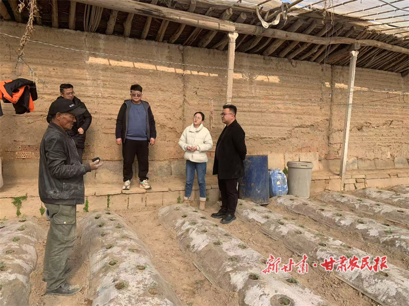 西固區(qū)新城鎮(zhèn)：搶抓春耕黃金期 開啟一年好&ldquo;豐&rdquo;景