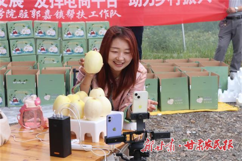 秦安縣：&ldquo;電商+幫扶&rdquo;雙輪驅動白脆瓜銷售&ldquo;出圈&rdquo;

