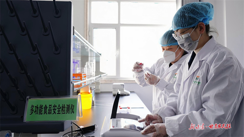 靜寧：開足馬力趕訂單 致富路上&ldquo;牛勁&rdquo;足